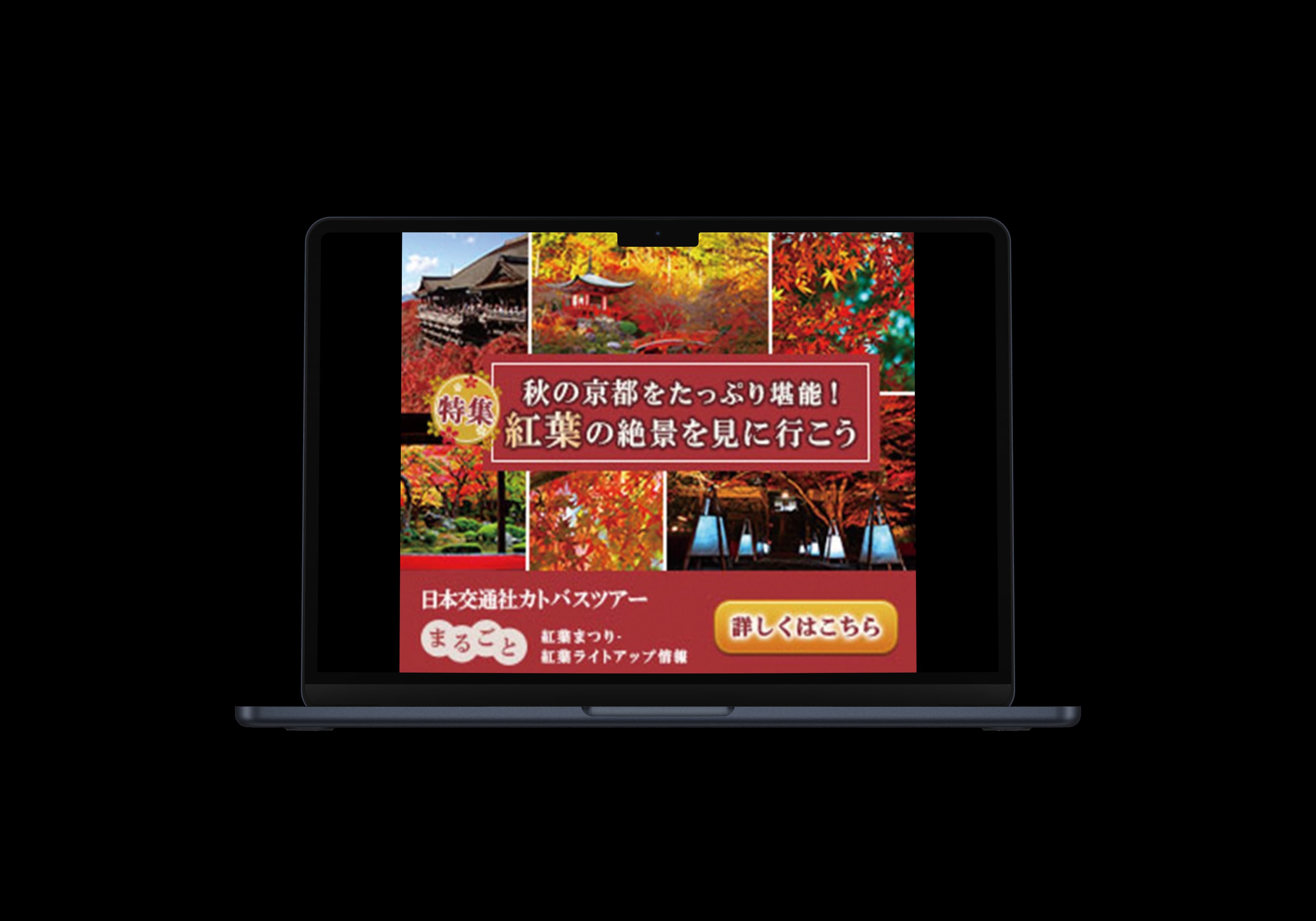 紅葉バナー